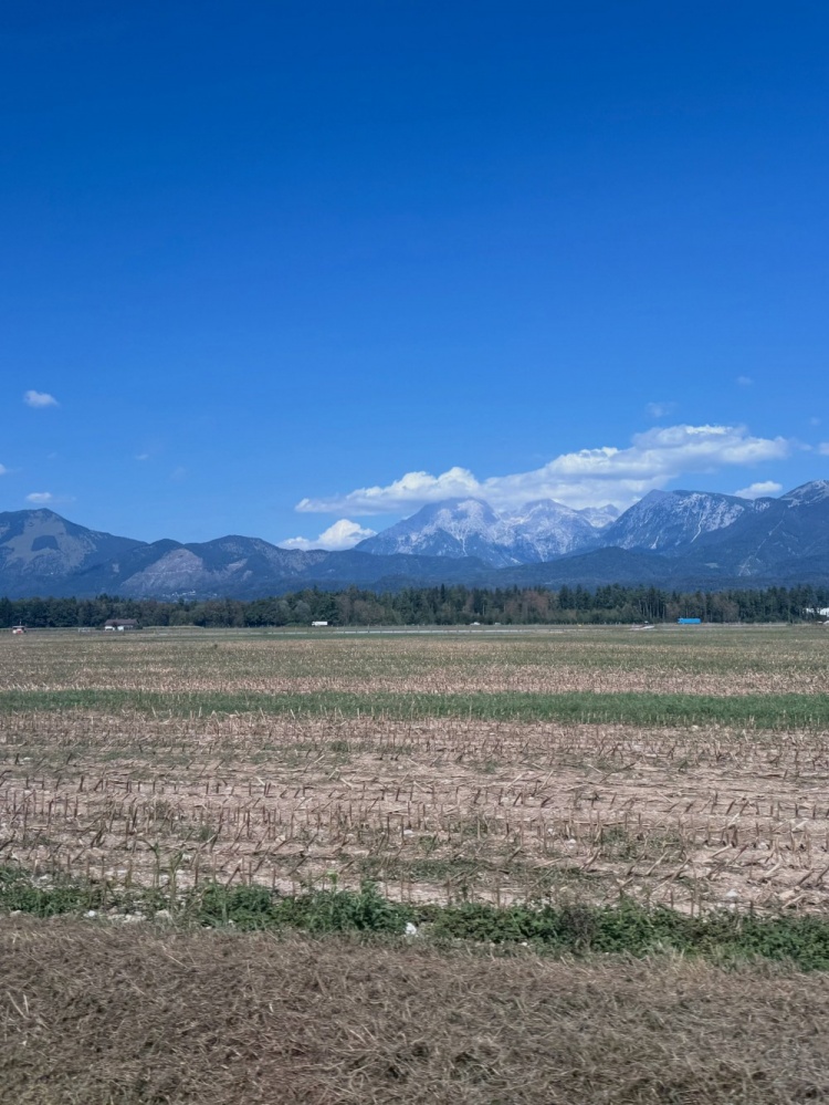 拉拉维亚晒斯洛文尼亚动态 练球/高尔夫/划船/保龄球玩得不亦乐乎