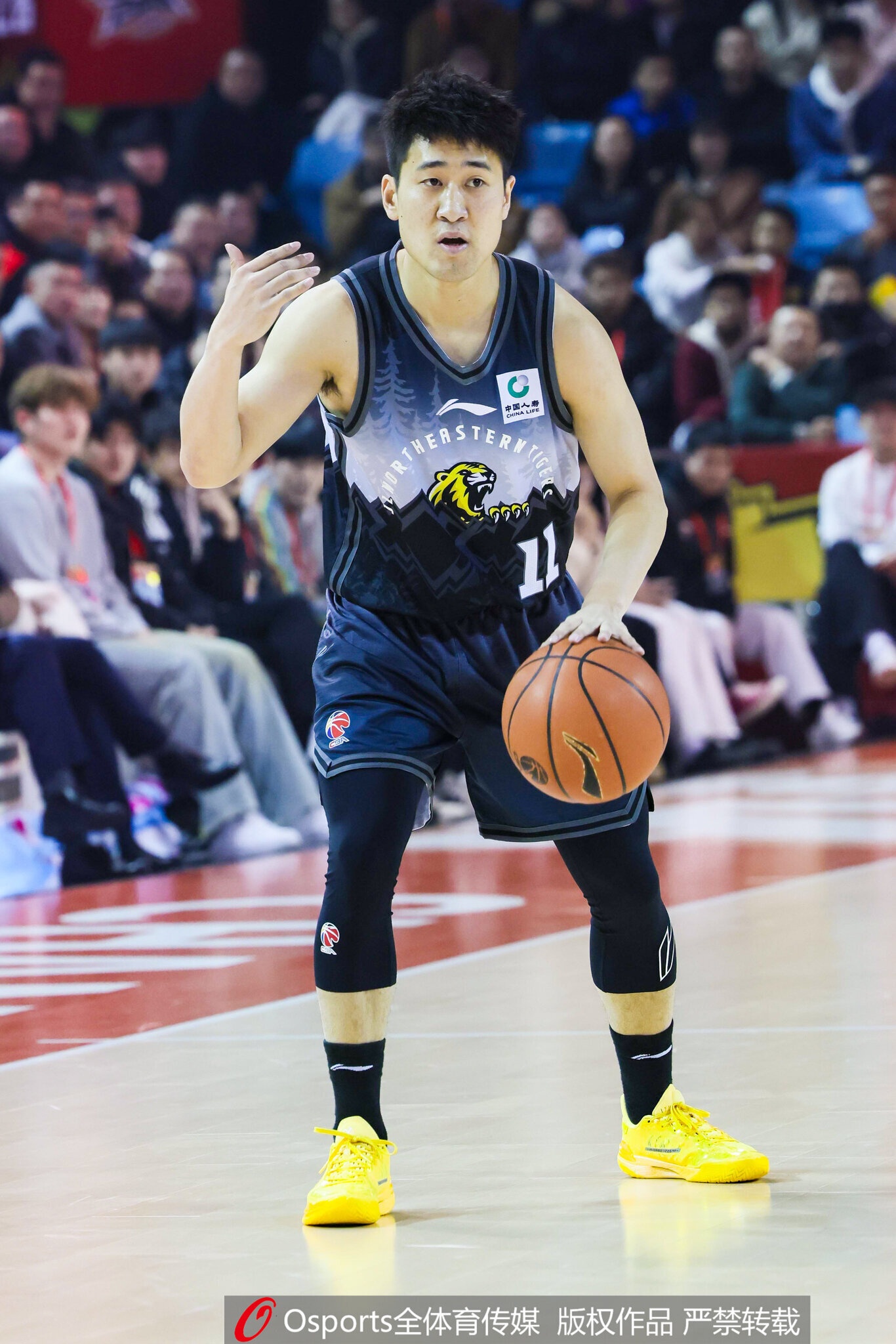 吉林注册11名球员：姜伟泽B类合同还剩1年 崔晋铭续签1年C类合同