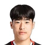 洪胤相