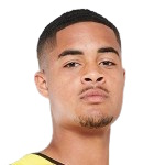 瓦拉内