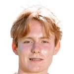 哈兰德