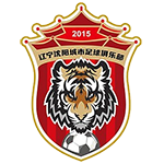 沈阳城市